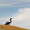 Dinosaur sculptures on the hills