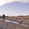 Wayne Creek E of Harlem, MT (March 2012)