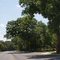 Road leading to 2nd crossing