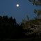 Texas Moon in Leakey