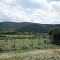 Hills off Ranch Rd 337 W