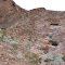 Dead Burro Game Tank