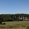 View from Turney Homestead Cabin
