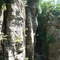 Canyon walls