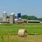 Bridport, VT Farm