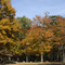 Fitzgerald County Park