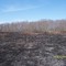 Lincoln Brick Prairie, Burn Complete 2007