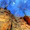 Looking Up Through Geologic Time