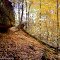 Outcrop in Fall