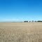 Lawrence NE