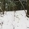 Winter scene