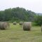 Haybales in NY