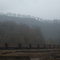 Train Tracks, Delbarton, WV