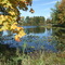 Pond in Autumn