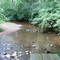 Lake in Mt Gilead State Park