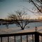 winter backyard