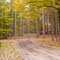 Mt Gilead State Park campground