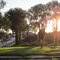 Goosepond/Downtown Lexington