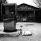 Abandoned Gas Station