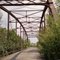 2007_09-16_1925 Criner Creek Bridge