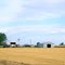 2011, Alfalfa, OK, USA - amber field and bldss