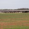 Deer Creek Overflow Structure 1