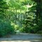 State Park Boardwalk