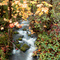 Metzgus Creek
