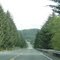 Hwy 101. OR