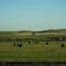 Big Sheep Mountain Pasture