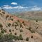Red Conglomerate in Big Sheep Creek