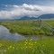 Near Dell, MT