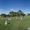 Prospect Hill Cemetery (Wessington Springs) from inside