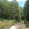 Kalkaska ORV Trail