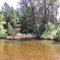 Manistee River views
