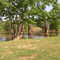 Hawkinsville Bridge over swollen Ocmulgee