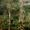 Reflections along the Ocmulgee