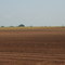 Mennonite Lands