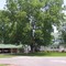 White House Bed and Breakfast...A Mennonite Institution