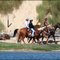 Coos County Mounted Sheriff's Posse Riding on the North Spit - Coos Bay, Oregon (suz)