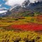 Colorful Land - Alaska - - The THOMPSON PASS ( 855 m / 2800 ft) is located in the Chugach Mountains northeast of Valdez, Alaska.
