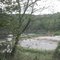 Root River