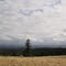 SE from Parrett Mountain