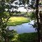 Lakewood wetland