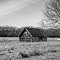 Lone Cabin