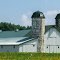 Country Farm