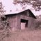 Barn