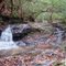 FDR State Park Wolfden loop 1-12-09