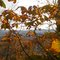 fall colors