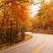 Fall on the Mountain